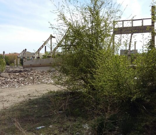 В Семее активизировали изъятие неиспользуемых земельных участков