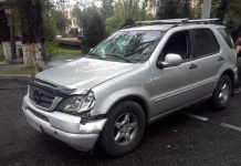 В Алматы на машину упало дерево и напугало беременную жену водителя