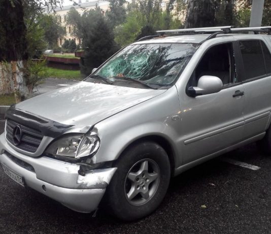 В Алматы на машину упало дерево и напугало беременную жену водителя