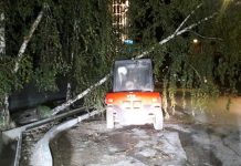 Из-за непогоды в Алматы несколько деревьев рухнуло на машины и трактор Из-за непогоды в Алматы несколько деревьев рухнуло на машины и трактор