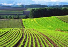 Члены земельной комиссии проведут встречу с аграриями Кызылординской области Члены земельной комиссии проведут встречу с аграриями Кызылординской области