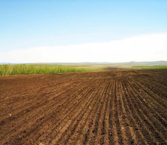 Научно-производственный центр земельного кадастра могут вернуть в ведение МСХ РК Научно-производственный центр земельного кадастра могут вернуть в ведение МСХ РК