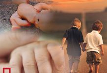 Итоги недели: Миллионный, выброшенная и сбежавшие… Итоги недели: Миллионный