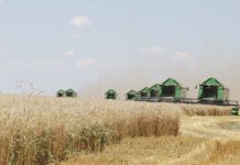 В Жамбылской области с начала сезона намолочено свыше 390 тыс. зерна