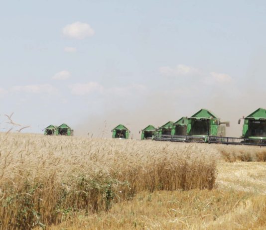 В Жамбылской области с начала сезона намолочено свыше 390 тыс. зерна