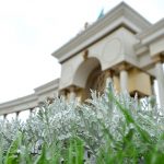 накормили бешбармаком
